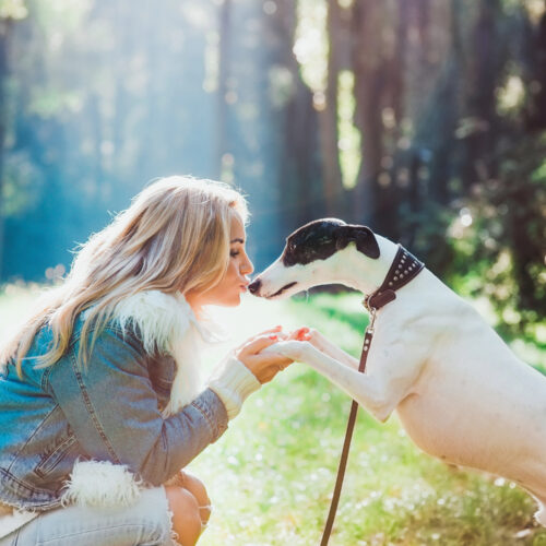 Why Women Love Dogs More Than Men: 11 Reasons